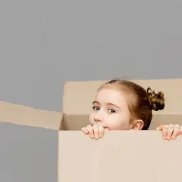 Guarda Compartilhada, Regulamentação da Guarda, Alimentos