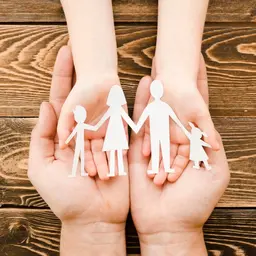 Guarda Compartilhada, Responsabilidade Parental, Alimentos